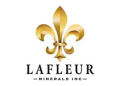 LaFleur Minerals Inc.Taking Key Steps to Advance Position in Prolific Gold Belt