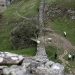 A piece of the illegally felled Sycamore Gap tree is going on display – and you can hug it
